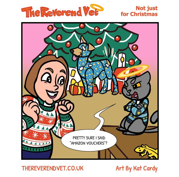 Not Just For Christmas