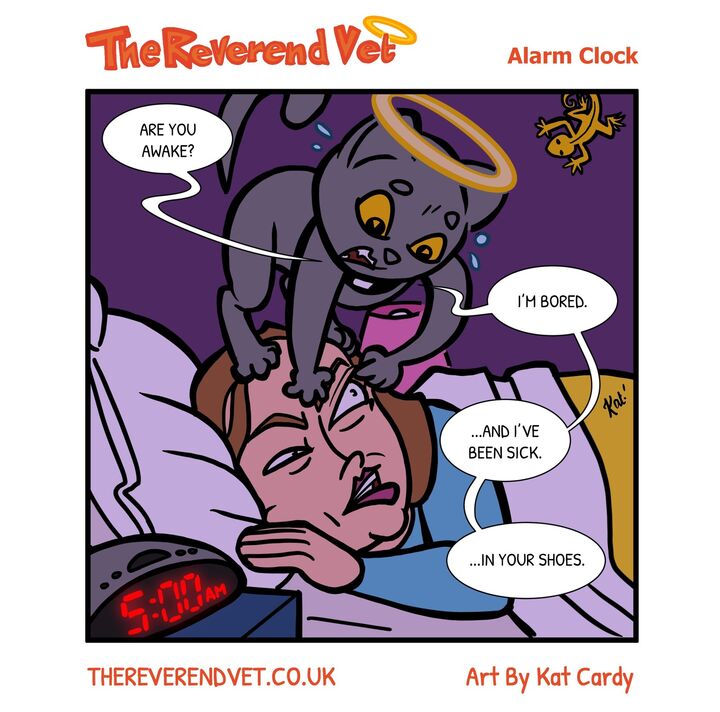 Alarm Clock