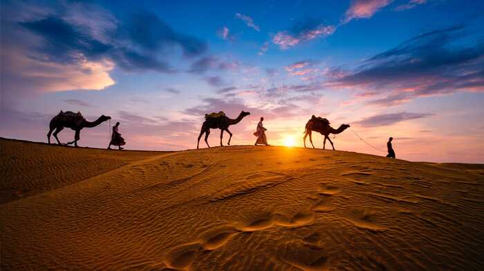 Camel caravan