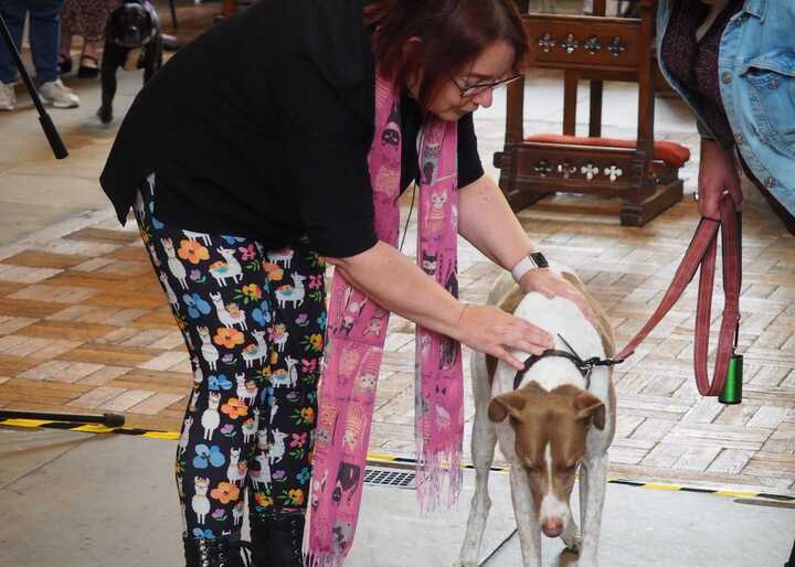 the reverend vet blessing a dog during a special pet service in 2024