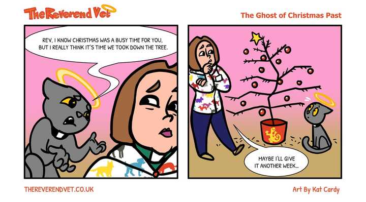 The Ghost Of Christmas Past