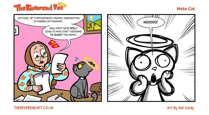 Meta Cat